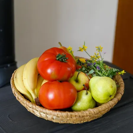 Vacation Daniela Prázdninový dům Zgaljic