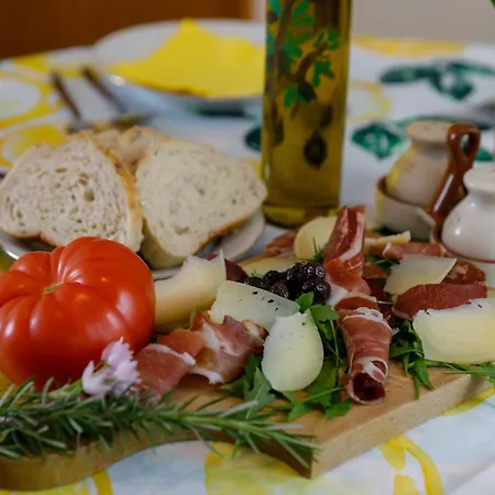 Vacation Daniela Zgaljic