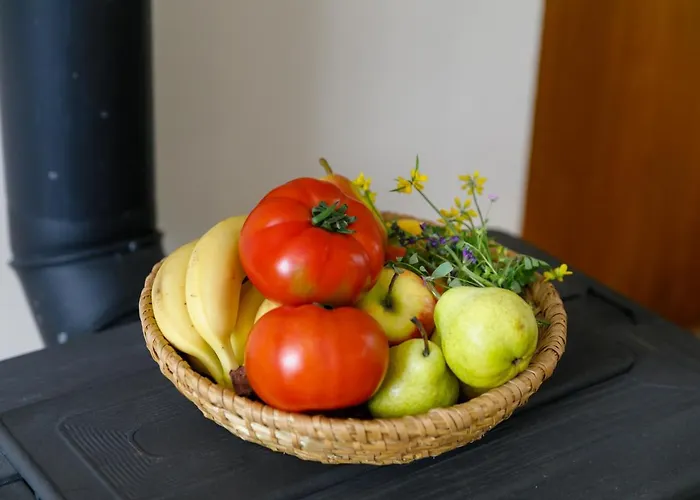 Vacation Daniela Holiday home Zgaljic